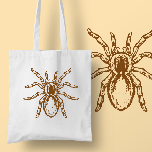 Big Spider_TOTE