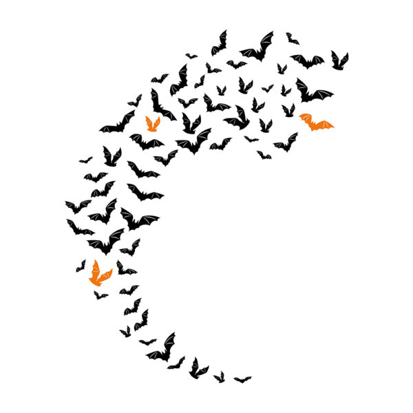 Halloween Bats