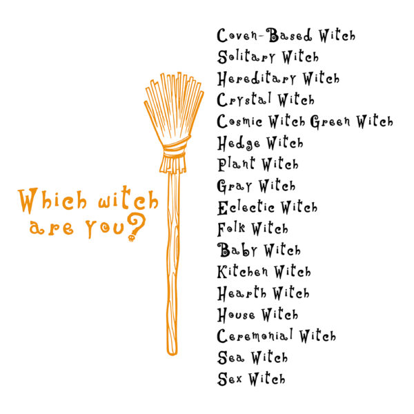 Which Witch Broomstick