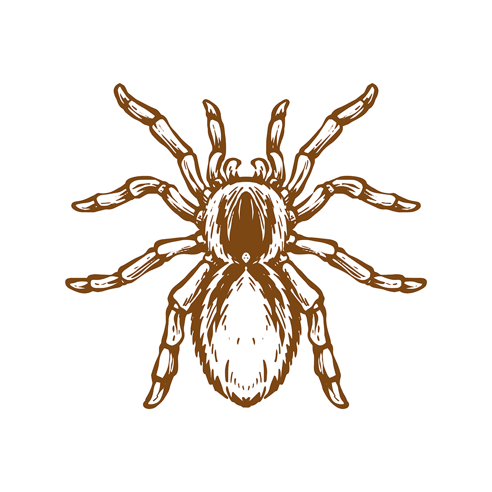 Big Spider Unisex Pullover Hoodie