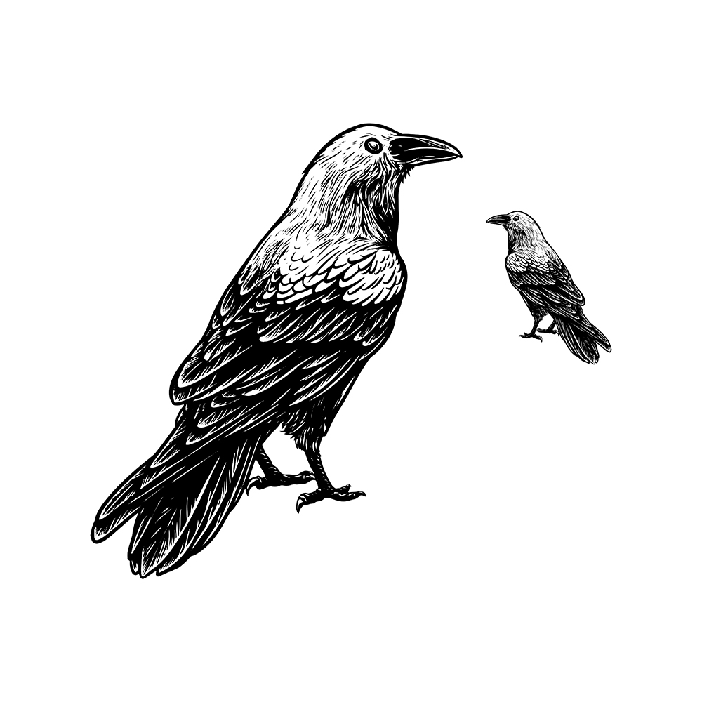 Crows Unisex Pullover Hoodie