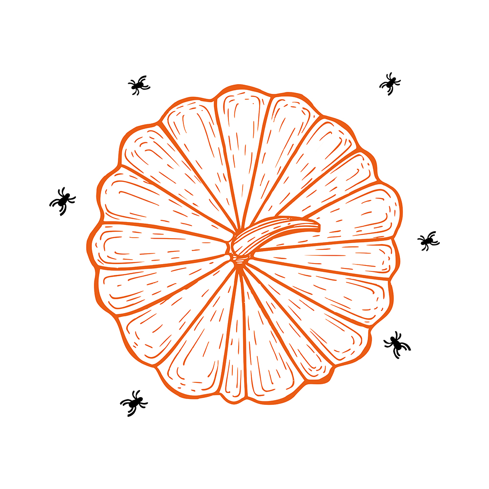 Flat Pumpkin Unisex Pullover Hoodie