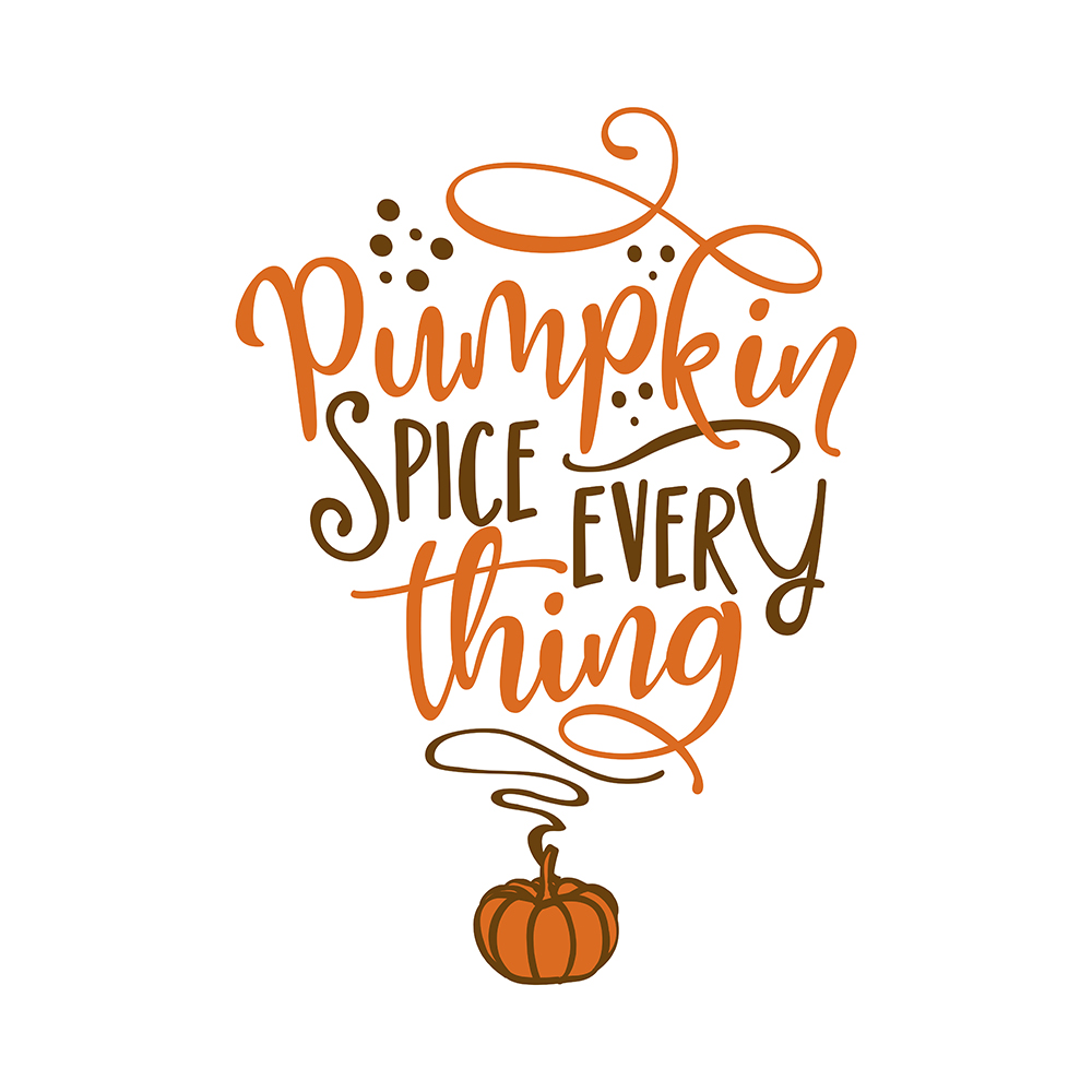 Pumpkin Spice Unisex Pullover Hoodie