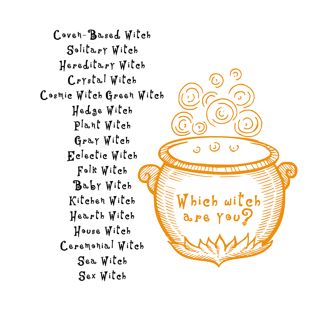 Which Witch Pullover Hoodie