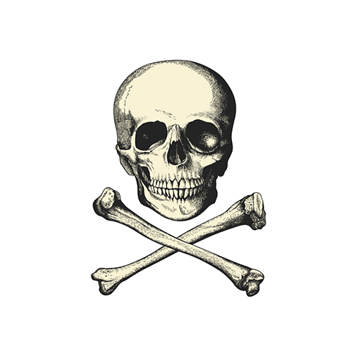 Pirate Skull